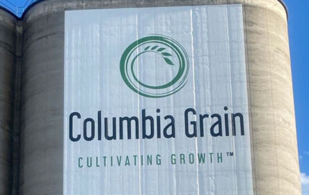 Sign Design & Painting